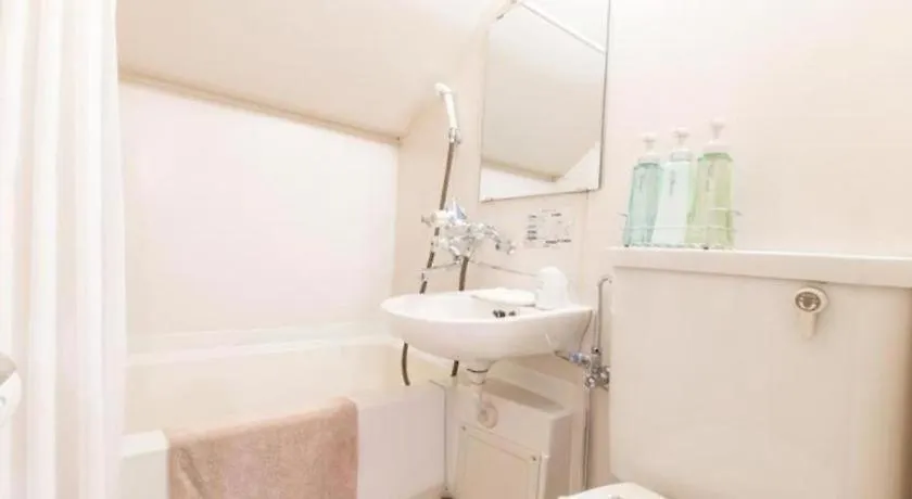 Hotel Starplaza Ikebukuro Tokyo 2*,